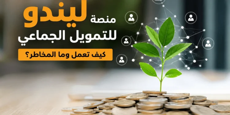 منصة ليندو للتمويل الجماعي