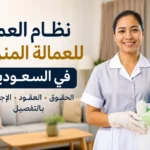 نظام العمل للعمالة المنزلية في السعودية: الحقوق والعقود والإجازات بالتفصيل